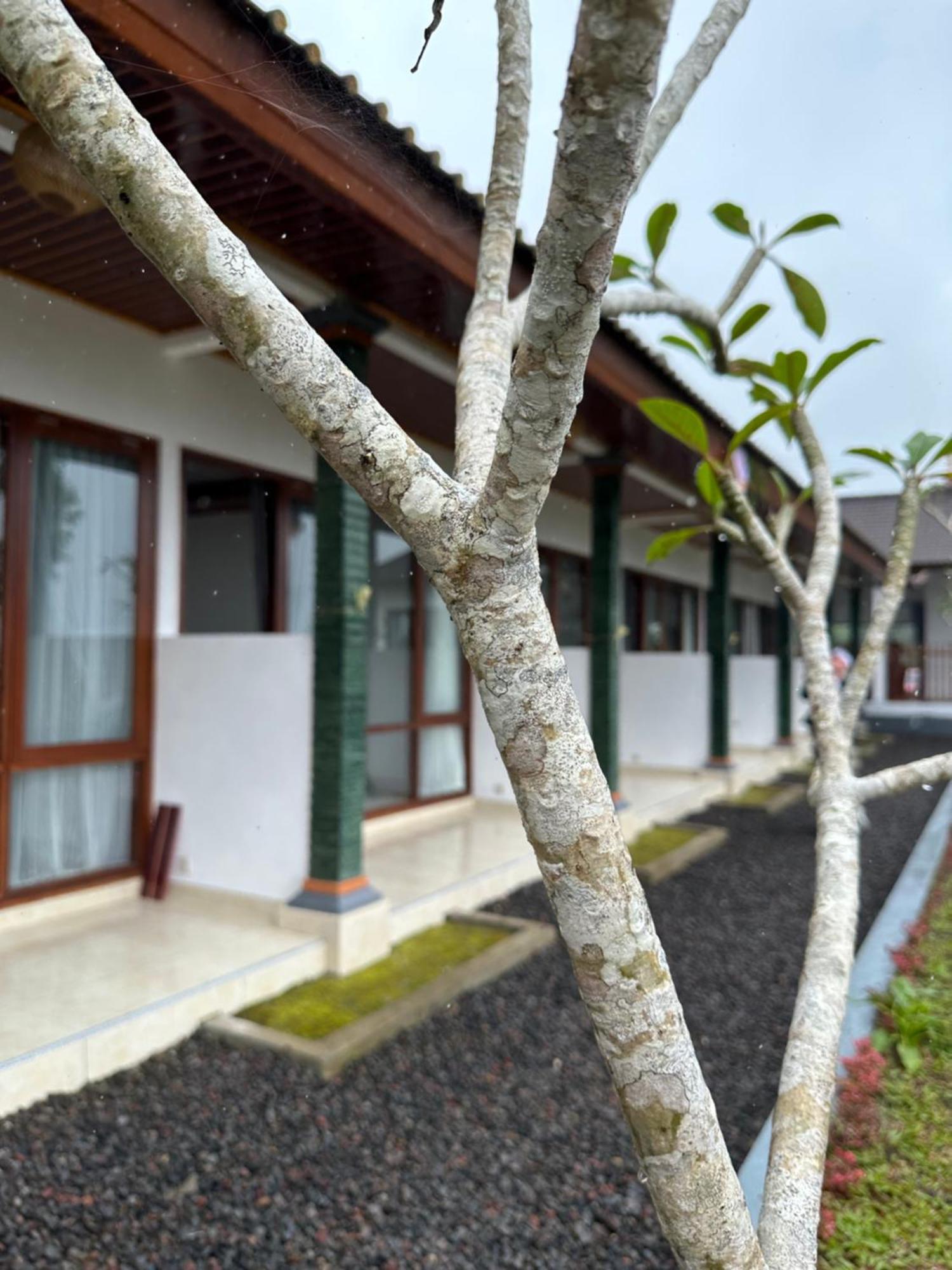 Bali Basuki Retreat Center Apartman Besakih Kültér fotó