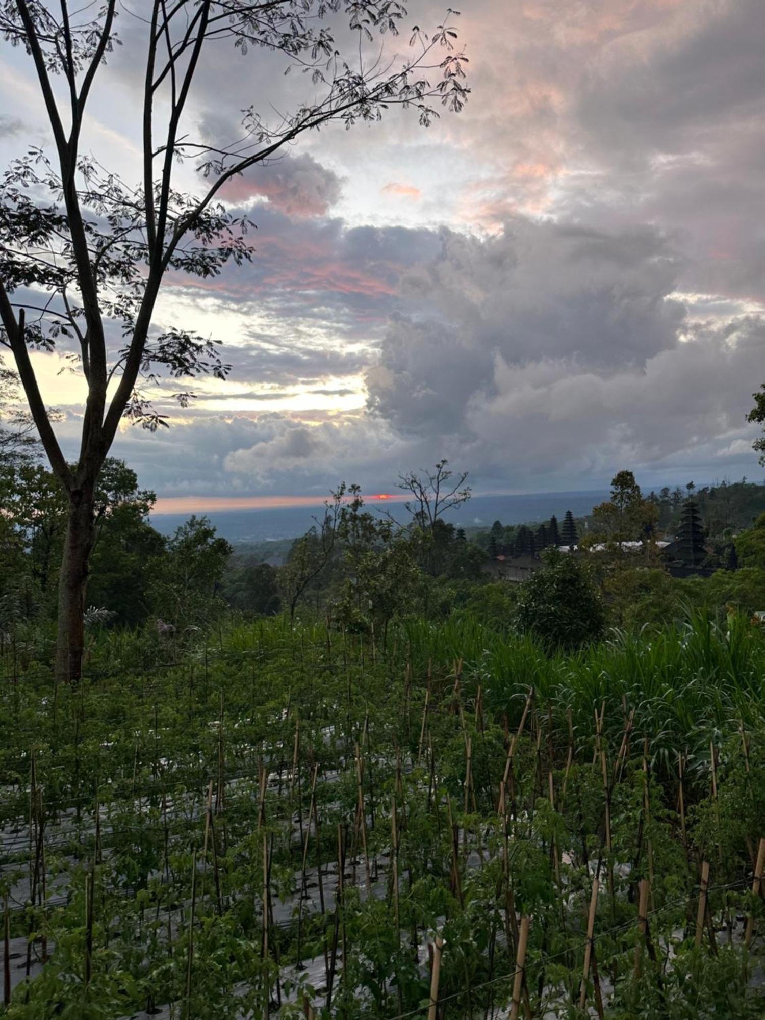 Bali Basuki Retreat Center Apartman Besakih Kültér fotó